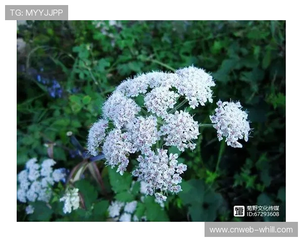 巴黎传奇射手南巴廷格-托科因癌离世,享年73岁 巴黎传奇射手南巴廷格-托科因癌离世,享年73岁